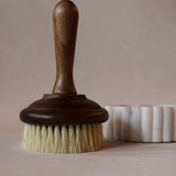Dish Soap Scrub Brush