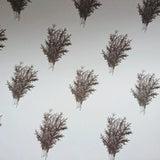 Set of 3 Pieces Spruce Branches White Wrapping Paper