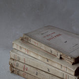 Gallimard Vintage Book Set