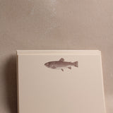Trout A6 Notes