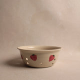 Strawberry Berry Bowl Colander