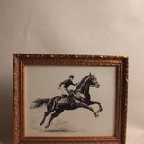 Cavalier Horse Sketch