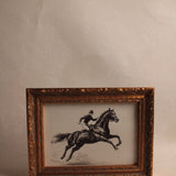 Cavalier Horse Sketch