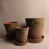 Aged Terracotta Round Flower Pots | Set of 3