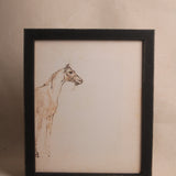 The Staring Stallion Framed Sketch