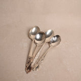 Found Sugar Spoon Set