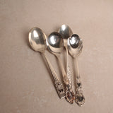 Found Sugar Spoon Set