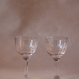 A Pair of Crystal Liqueur Glasses with Ovals Design