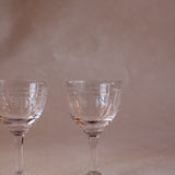 A Pair of Crystal Liqueur Glasses with Ovals Design