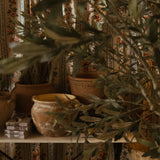 Textured Stoneware Garden Jug Planter