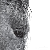 Wild Horses Of Cumberland Island Second Book